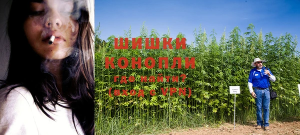 молекула духа Кодинск