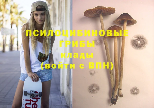 гидропоника Козловка