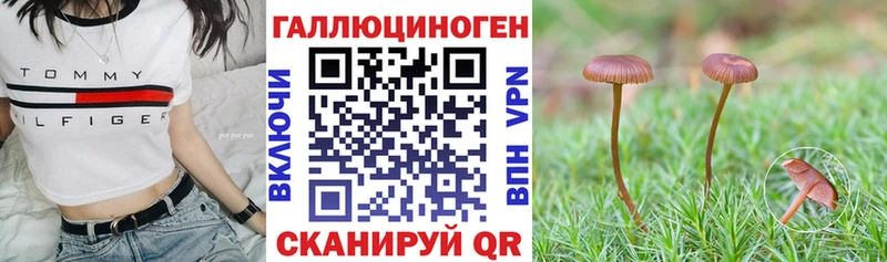 Псилоцибиновые грибы Psilocybe  Купить  Кушва 